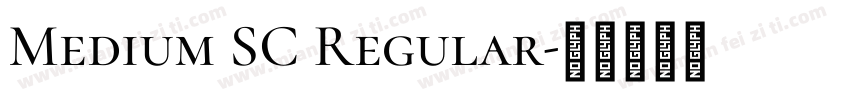 Medium SC Regular字体转换